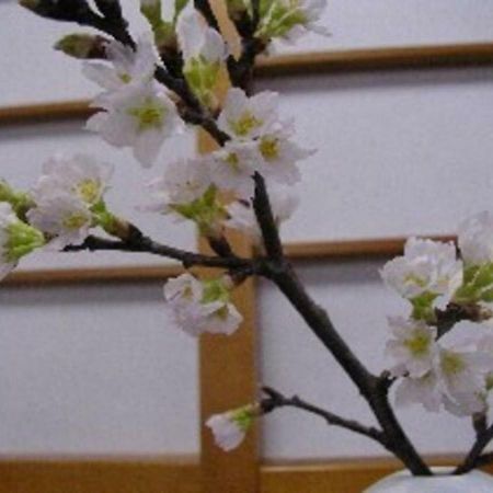 Wakaba Ryokan / Vacation Stay 29376 Sakata Εξωτερικό φωτογραφία